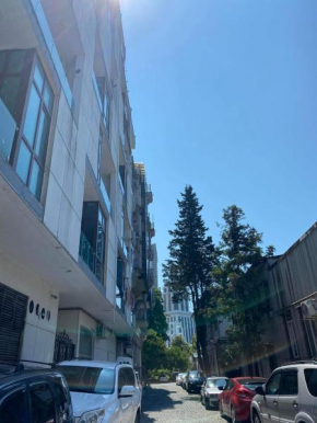 Apartment Next To The Old Boulevard